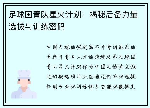 足球国青队星火计划：揭秘后备力量选拔与训练密码