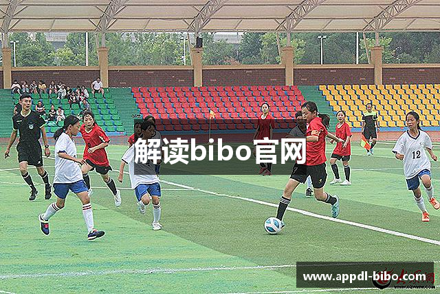 解读bibo官网